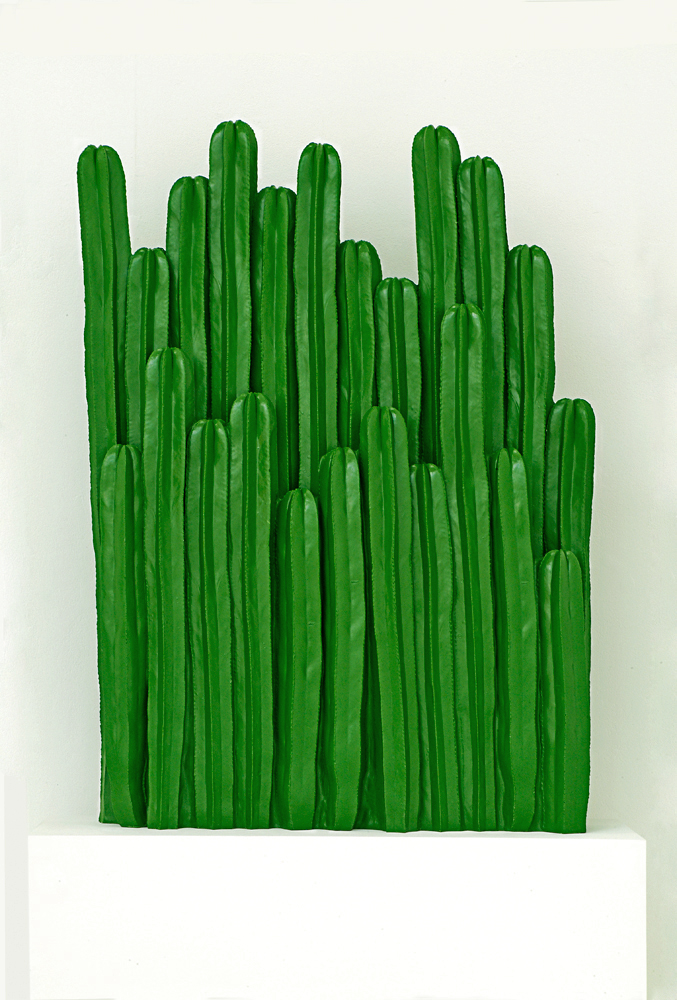 Poupak Sarah Shoughi, Cactus (2013)