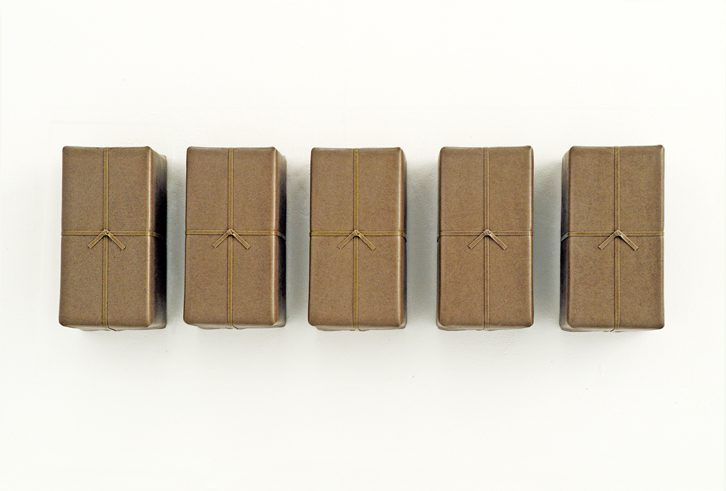 Poupak Sarah Shoughi, Parcels (2013)